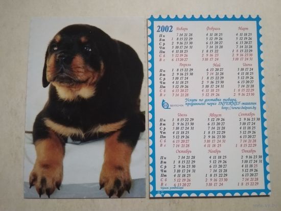 Карманный календарик . Собака . Белпочта. 2002 год