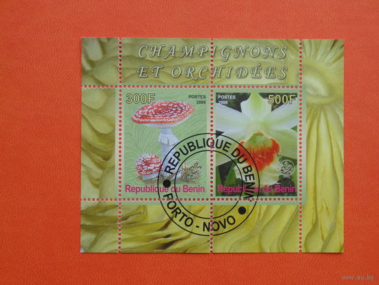 Бенин 2008г.Флора.