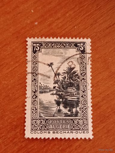 1936 французская колония Алжир флора (4-7)