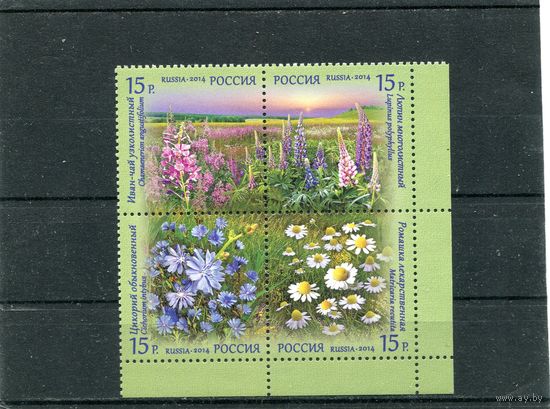 Россия 2014. Полевые цветы. Квартблок