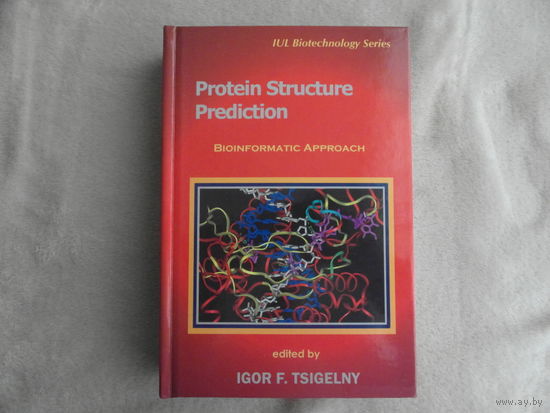 Прогнозирование структуры белка: Биоинформатический подход. Protein structure prediction. 2002 г.