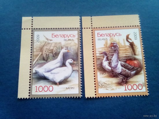 Беларусь 2009 серия домашние птицы