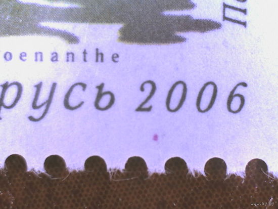 Стандарт 2006. 10. Ошибка печати (_497)