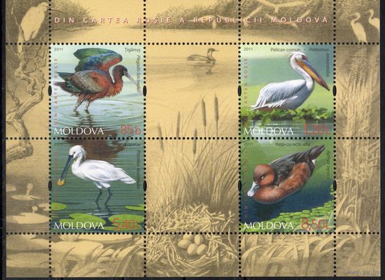 Молдова 2011. Фауна. Птицы. Блок (429)