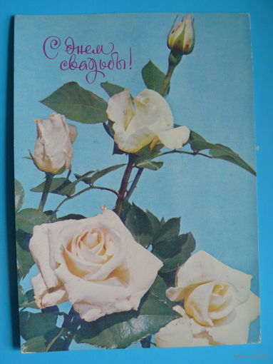 Френкель О.(фото), С днем свадьбы! 1977, чистая.