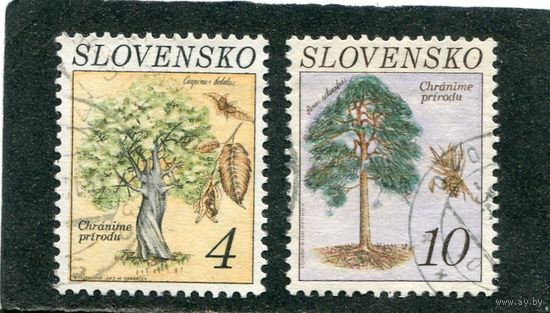 Словакия. Флора. Деревья