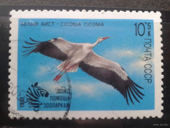 1991. Белый аист