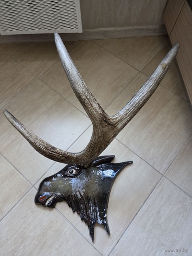 Рога лося.