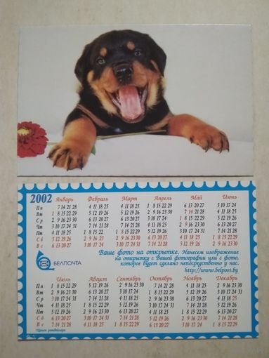 Карманный календарик . Собака . Белпочта. 2002 год