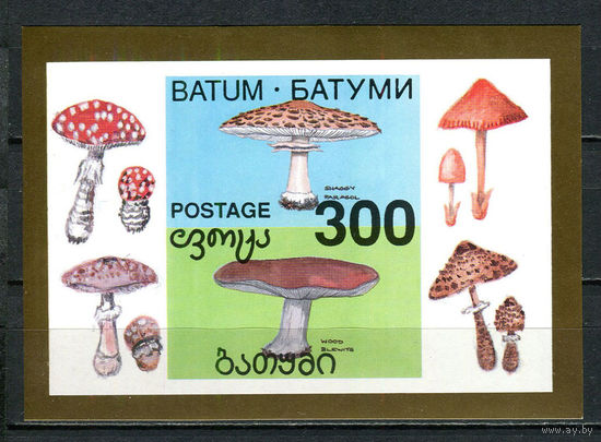 Батуми (Грузия) - 1994 - Грибы - 1 блок. MNH.  (Лот 33JQ)-T3P10