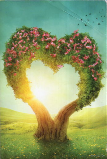 Подписанная открытка Турция 2016г. "Дерево-сердце"