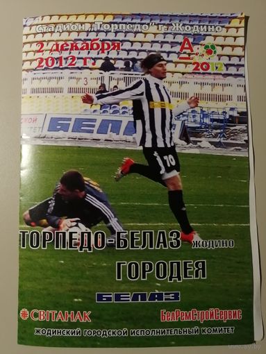 ТОРПЕДО-БЕЛАЗ Жодино - ГОРОДЕЯ 02.12.2012 (Переходной матч)