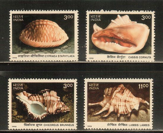 Индия-1998(Мих.1667-1670) , **  , Морская Фауна , Раковины(полная серия)