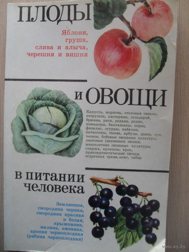 Д.К. ШАПИРО "ПЛОДЫ И ОВОЩИ В ПИТАНИИ ЧЕЛОВЕКА"
