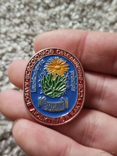 Клуб любителей кактусов