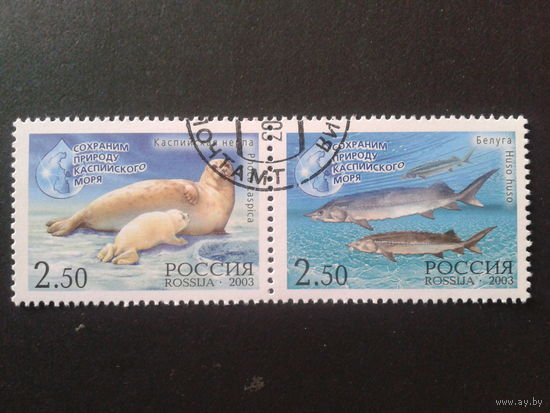 Россия 2003 фауна Каспийского моря сцепка совм. выпуск с Ираном Mi-1,5 евро гаш.