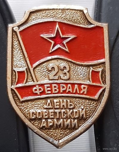 23 февраля День Советской Армии. Ая-91