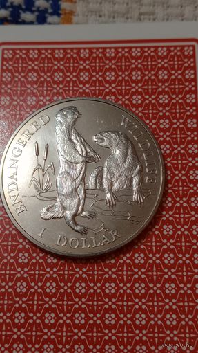 Острова Кука 1 доллар 1996 исчезающие животные выдра