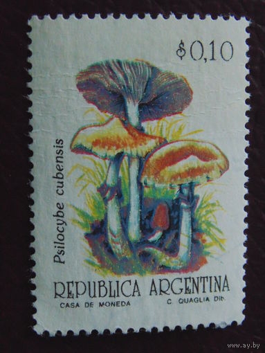 Аргентина. Грибы.