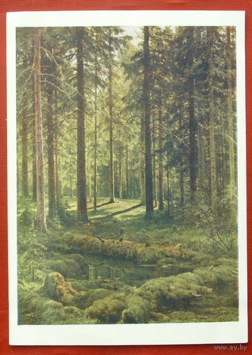 Шишкин. Лес. Чистая. 1957 года. 1945.