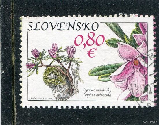 Словакия. Флора. Цветы