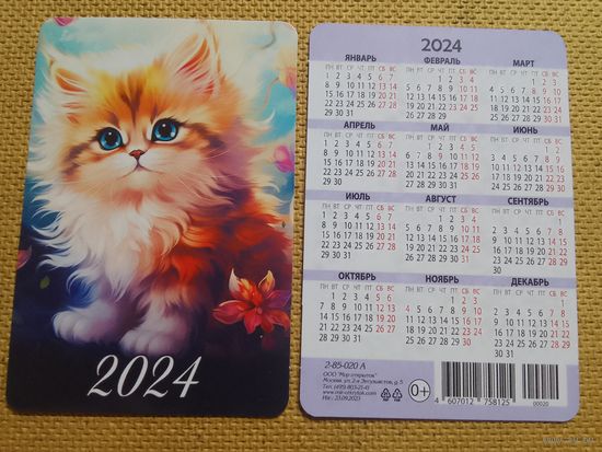 Карманный календарик. Котик. 2024 год
