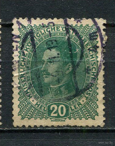 Австро-Венгрия - 1917 - Император Карл I 20H - (есть тонкое место) - [Mi.222] - 1 марка. Гашеная.  (Лот 8FR)-T25P15