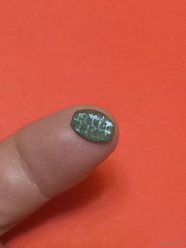 Чешуйка медная Алексей Михайлович