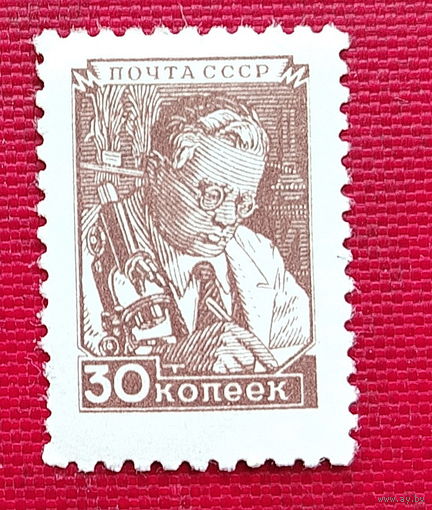 СССР. Стандарт. ( 1 марка ). 5-1.
