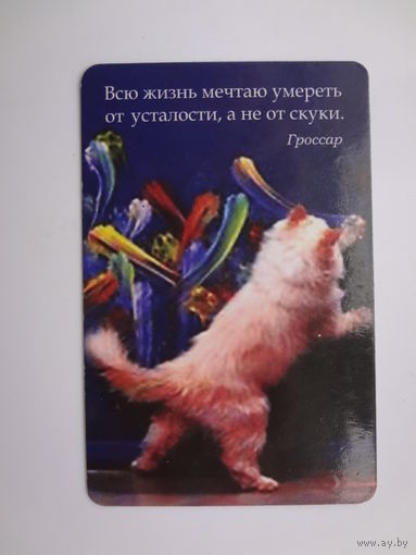 Календарик 2006 г. Всю жизнь мечтаю умереть от усталости, а не от скуки. Гроссар.