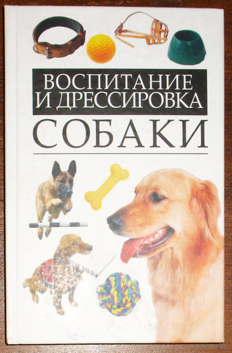 Воспитание и дрессировка собаки.