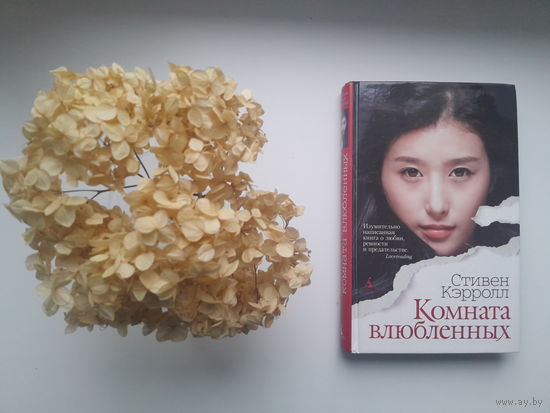 Стивен Кэрролл, "Комната влюбленных"