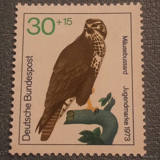 ФРГ 1973. Фауна. Птицы.  Mausebussard