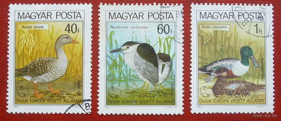 Венгрия. Птицы. ( 3 марки ) 1980 года. 6-11.
