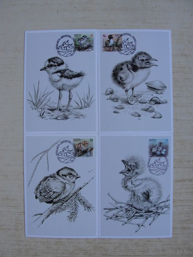 Продажа коллекции с 1 рубля! КПД Беларуси.