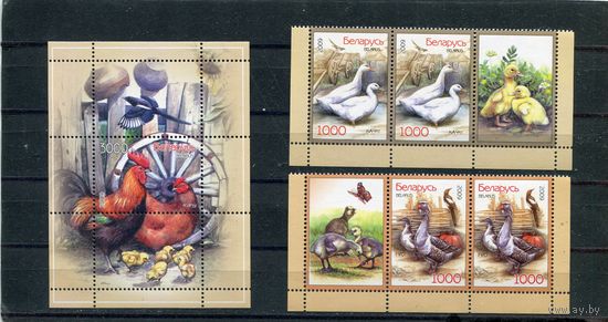 Беларусь 2009. Домашние птицы. Серия с купоном и блок