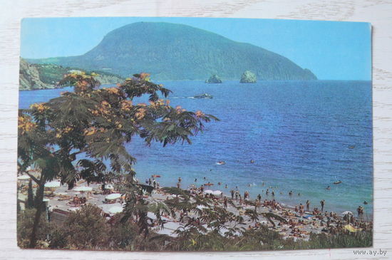 Круцко Б., Гурзуф. Вид на гору Аю-даг (Медведь-гора); 1976.
