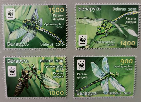 Стрекозы. Серия, 2010. Беларусь