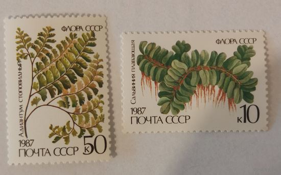 Две марки из серии "Флора СССР. Папортники" - Сальвиния плавающая и Адиантум стоповидный