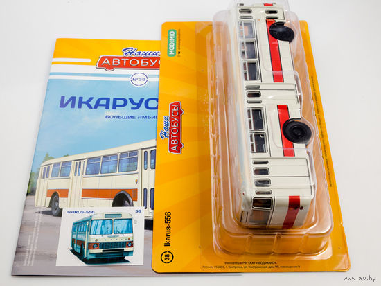 Наши Автобусы 38, Икарус-556 Большие амбиции