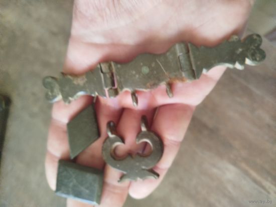 Красивая конина