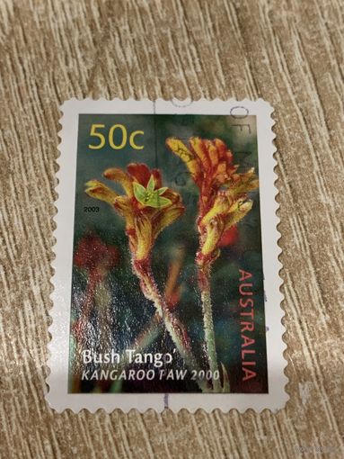 Австралия 2003. Флора. Kangaroo Paw 2000