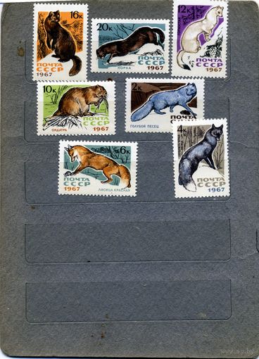 СССР, 1967 ,  ПУШНЫЕ  ЗВЕРИ**, 7м,  серия , чистая, 1м