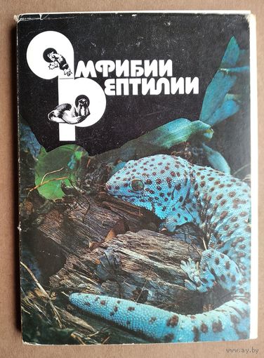 Набор открыток "Амфибии. Рептилии". 1989 г. 22 откр.