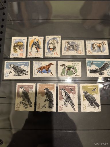 Лот чистых марок СССР 1965 год 2
