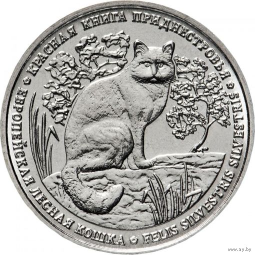 Приднестровье 1 рубль, 2020 Красная книга - Европейская лесная кошка UNC