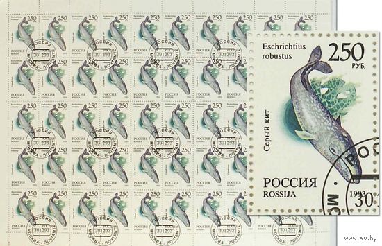 3. Марки России сцепка 50 штук "Серый кит" 1993 год