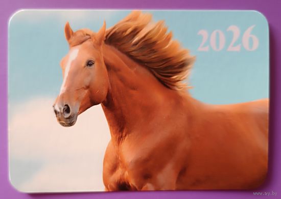 Лошадь. Календарик, глянец, 2026. Траско
