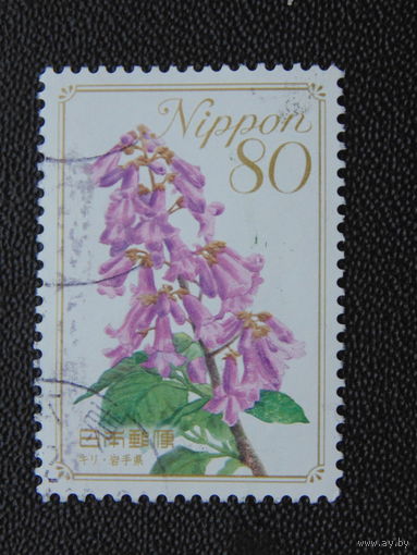 Япония. Цветы.