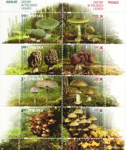 Польша 2012. Грибы, Mi 4579-82. Блок 210